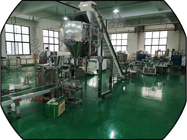 多功能药品包装生产线工作流程(图1)