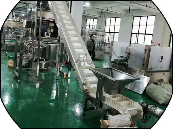 多功能药品包装生产线工作流程(图2)