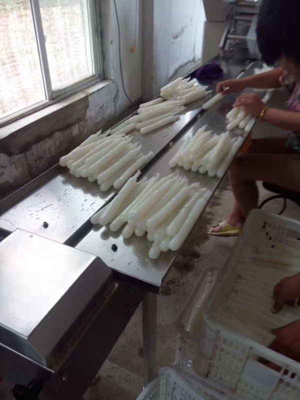 夏日火爆设备来袭,棒棒冰自动包装机(图2)